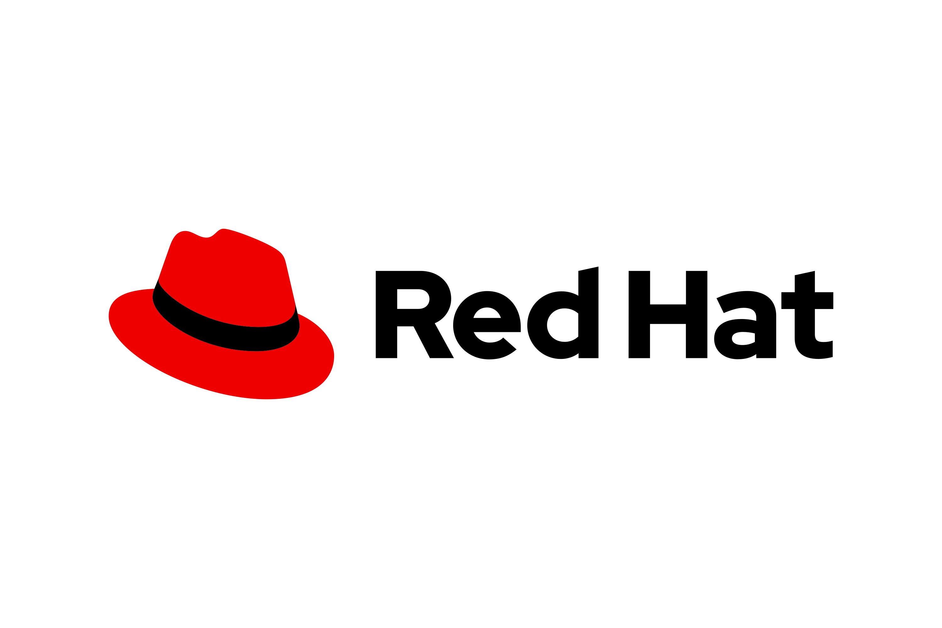 Red Hat Partner - Visit Red Hat website